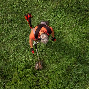 high,angle,view,of,modern,gardener,mows,the,grass,with