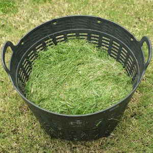 grass,clippings,in,the,basket