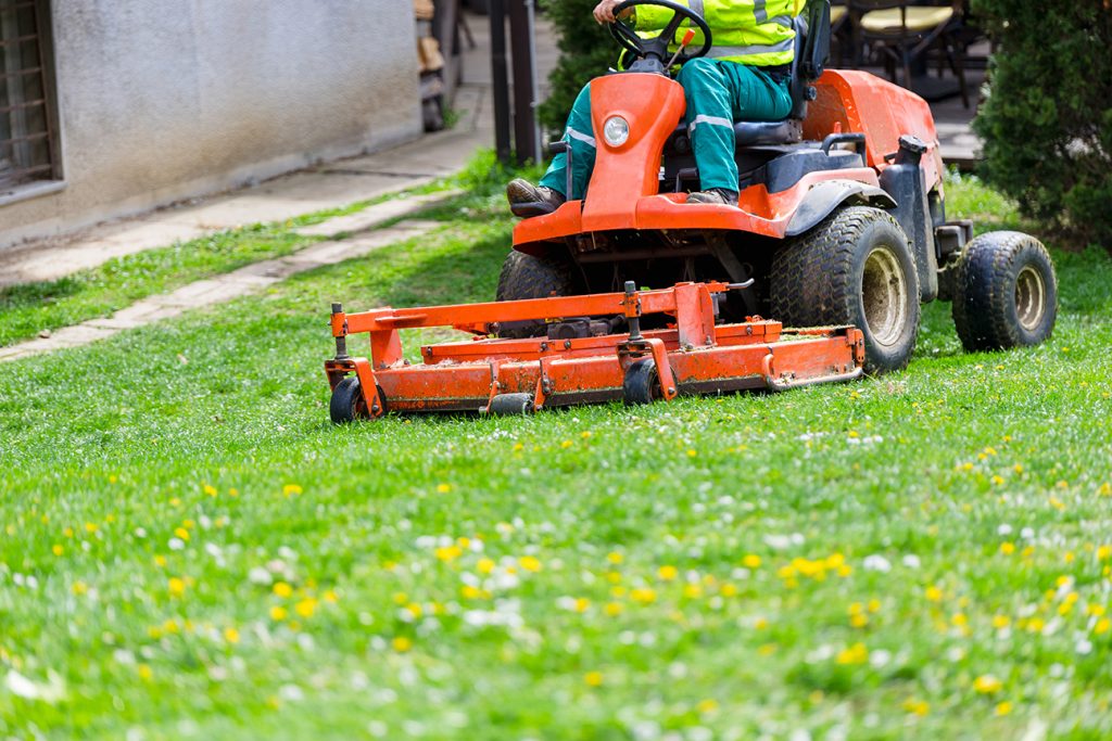 an,individual,operates,a,red,riding,lawn,mower,,cutting,lush