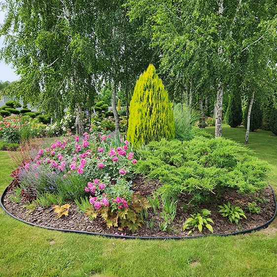 flower,arrangement,with,conifers,in,a,private,garden